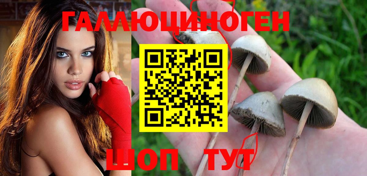 Чебаркуль  Псилоцибиновые грибы GOLDEN TEACHER  Вход с VPN  Галлюциногенные грибы GOLDEN TEACHER 
